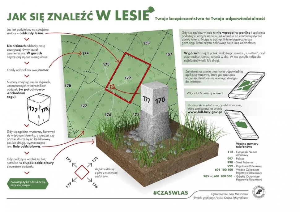 Zdjęcie słupka oddziałowego w lesie.