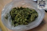 marihuana zabezpieczona przez policjantów