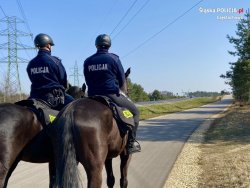 Zdjęcie kolorowe, przedstawiające policję konną.