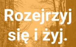 Zdjęcie przedstawiające napis na plakacie &quot;Rozejrzyj się i żyj&quot;