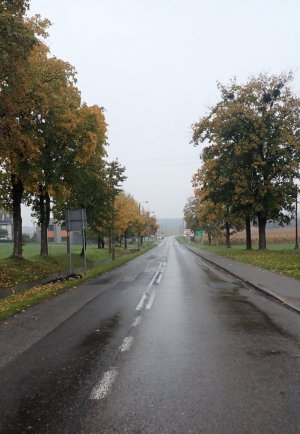 Zdjęcie przedstawiające miejsce zdarzenia drogowego.