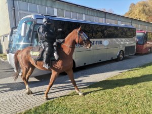 Zdjęcie kolorowe,  przedstawiające policję konną.