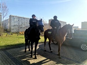 Zdjęcie kolorowe, przedstawiające policję konną.