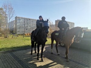 Zdjęcie kolorowe, przedstawiające policję konną.