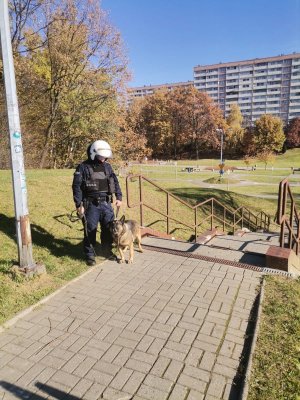 Zdjęcie kolorowe, przedstawiające przewodnika psa wraz z psem służbowym.