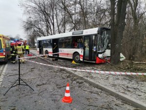 Zdjęcie przedstawiające uszkodzony autobus który uderzył w drzewo.