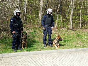 Zdjęcie przedstawiające policjantów oraz psy służbowe.