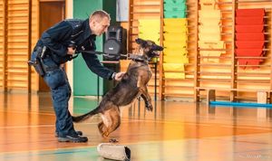 Zdjęcie przedstawiające policjanta oraz psa służbowego.