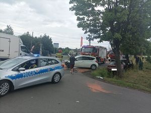 Zdjęcie przedstawiające służby mundurowe oraz samochody uczestniczące w zdarzeniu.