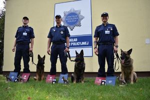 Zdjęcie trzech policjantów oraz trzech psów służbowych.