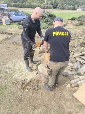 Zdjęcie przedstawiające policjantów przy cięciu drzewa.