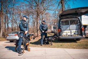 Zdjęcie przedstawiające policjantów i psy służbowe.