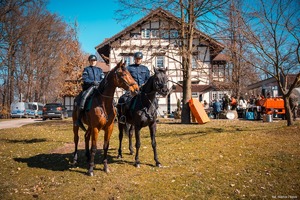 Zdjęcie przedstawiające policjantów na koniach służbowych.