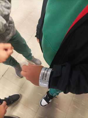 Zdjęcie przedstawiające
