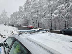 Zdjęcie radiowozu na tle zaśnieżonego lasu.
