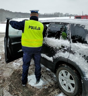 Zdjęcie przedstawiające