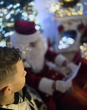 Zdjęcie przedstawiające