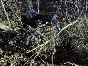 Zdjęcie pojazdu pomiędzy drzewami.