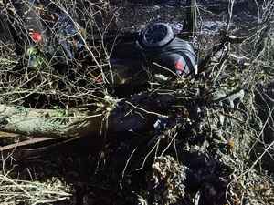 Zdjęcie pojazdu pomiędzy drzewami.