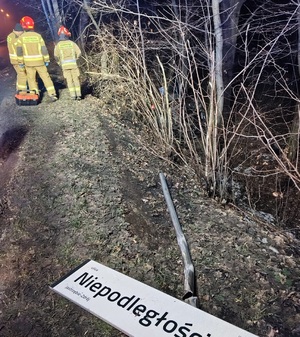 Zdjęcie uszkodzonego słupka z napisem ulicy.