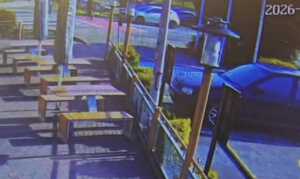 Przejście dla pieszych, na którym znajduje się piesza.